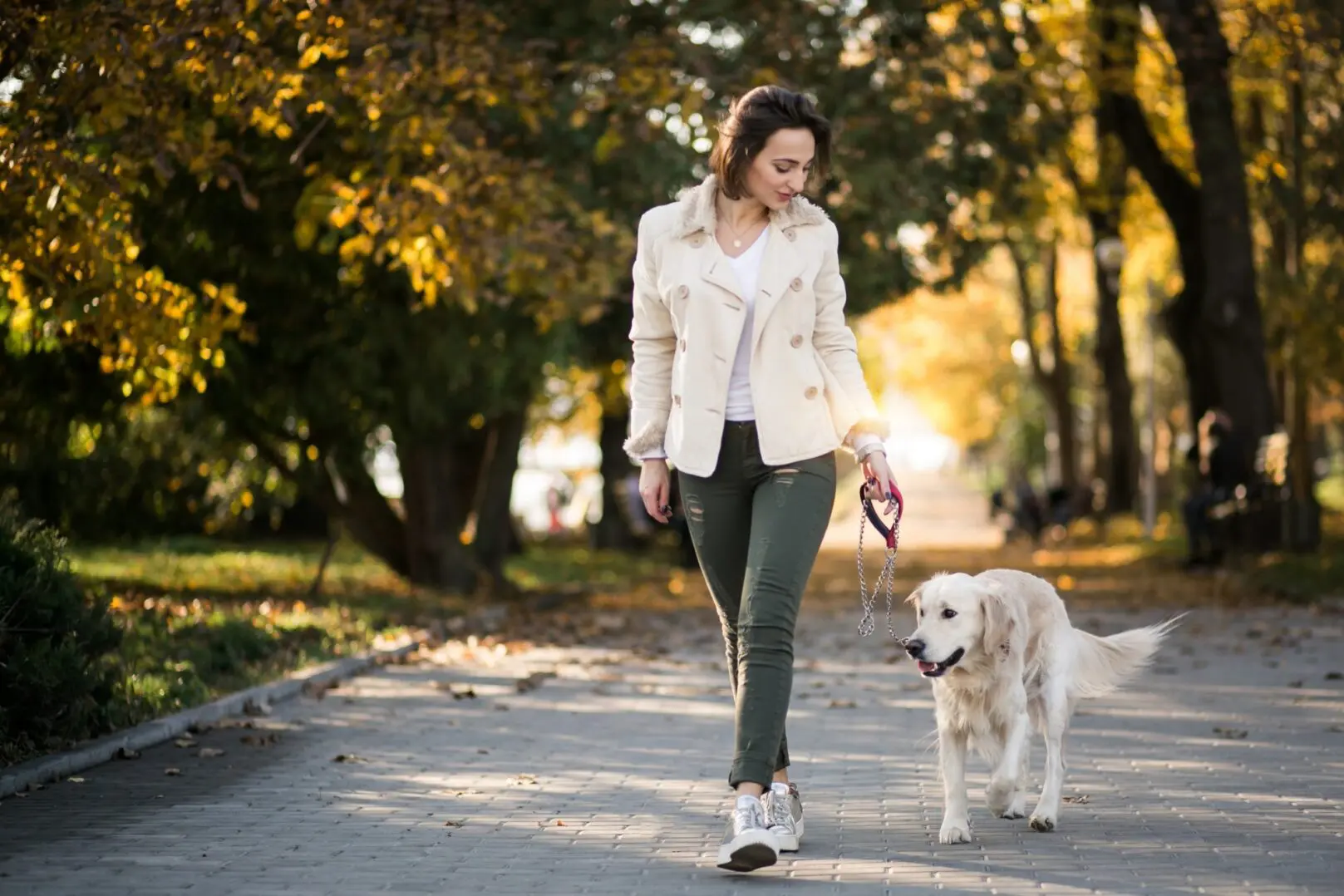 Woman walking her dog on a sunlit park path.