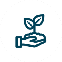 Hand holding a small plant with two leaves icon.