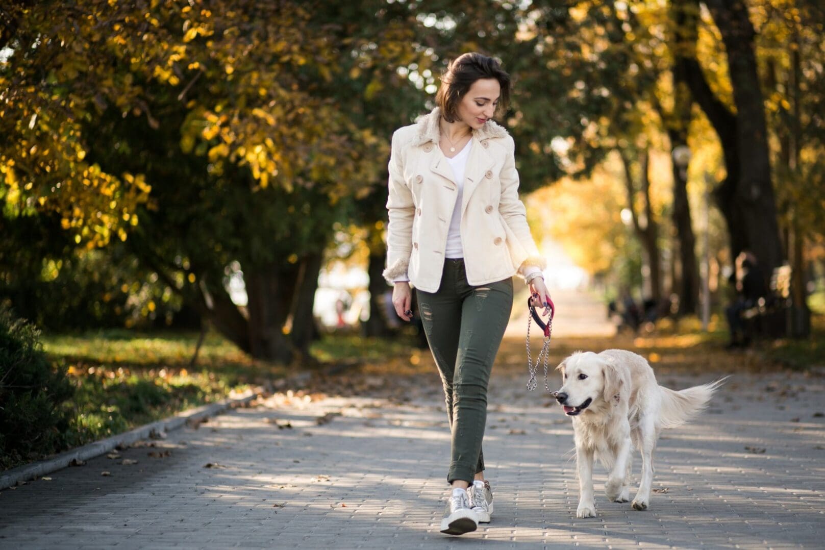 Woman walking her dog on a sunlit park path.