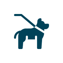 Icon of a dog on a leash symbolizing pet walking.