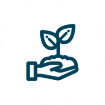 Hand holding a small plant with two leaves icon.