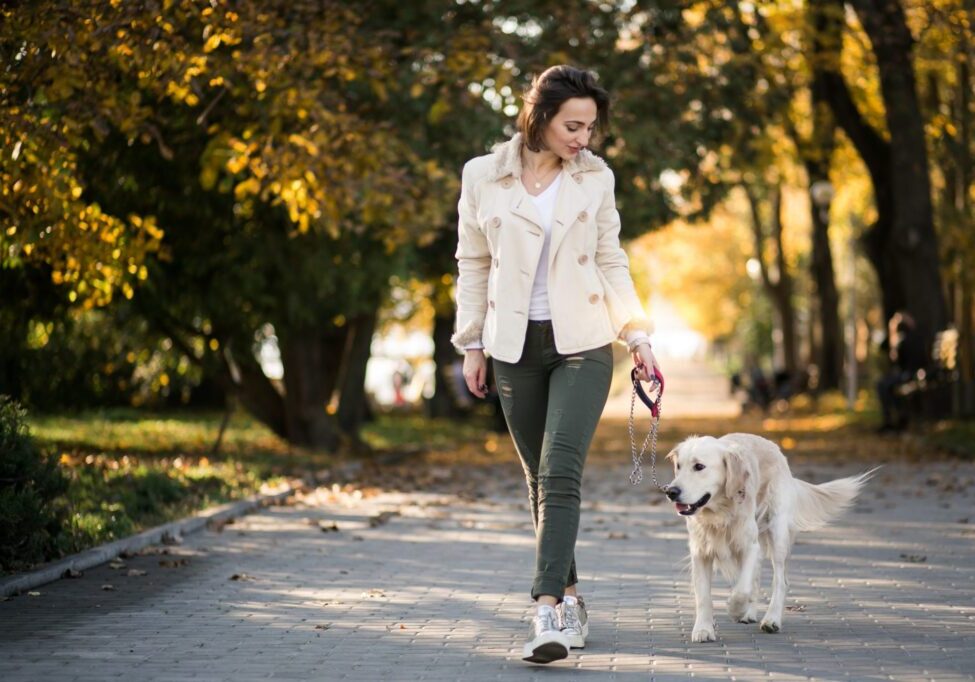 Woman walking her dog on a sunlit park path.