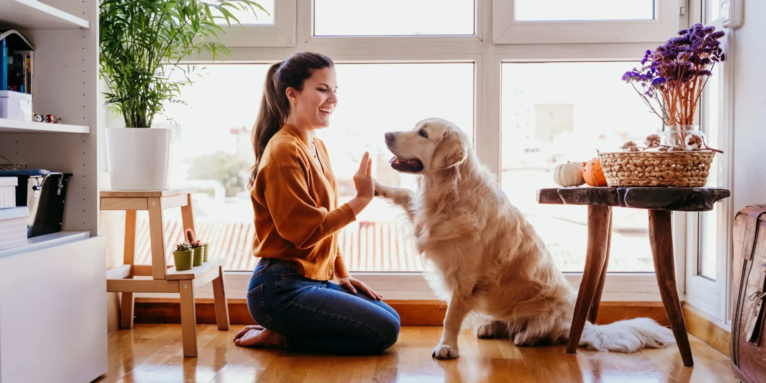 Woman high-fiving golden retriever by window