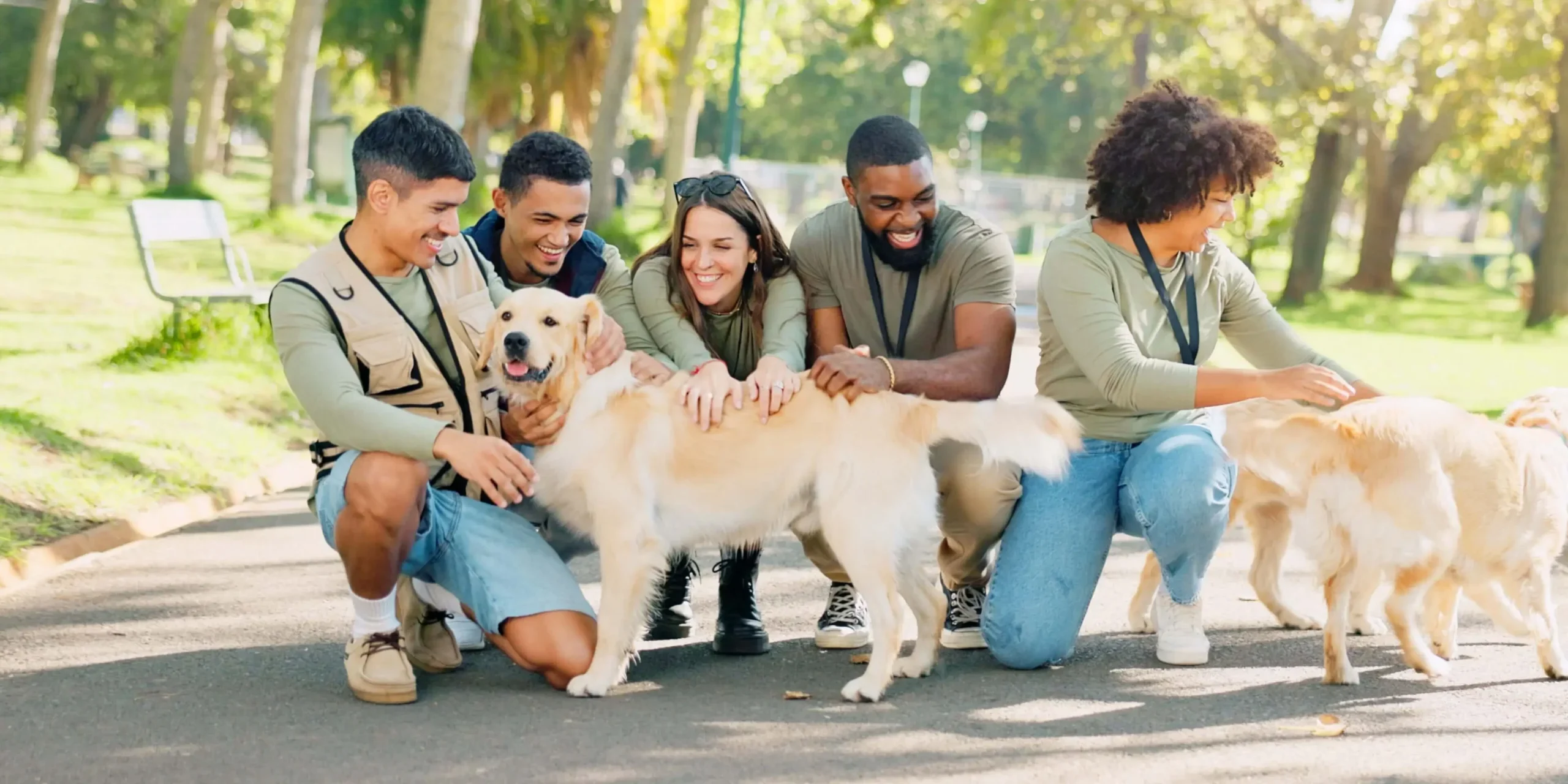 Smiling group petting golden retrievers in park