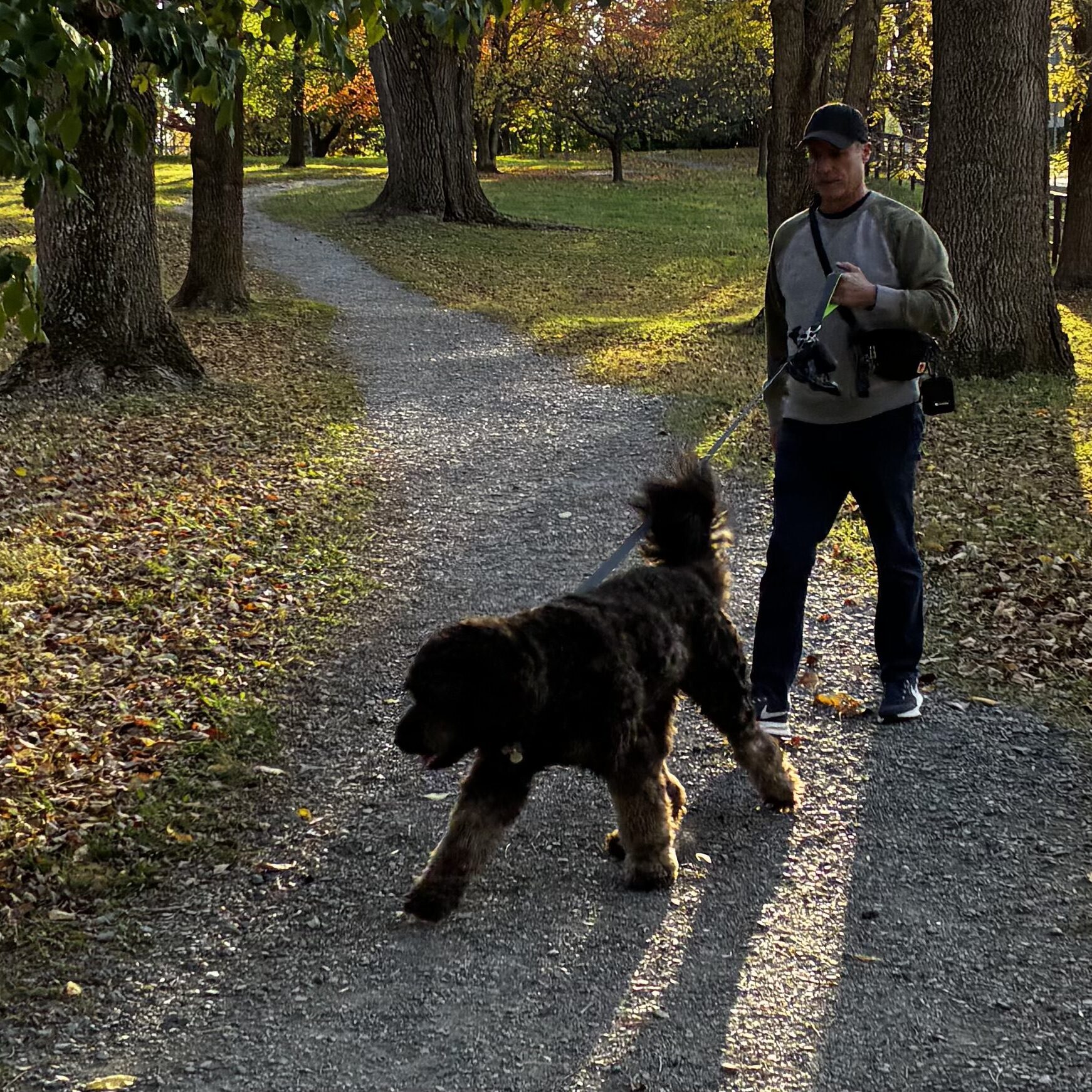 Man walking dog on a forest path.
